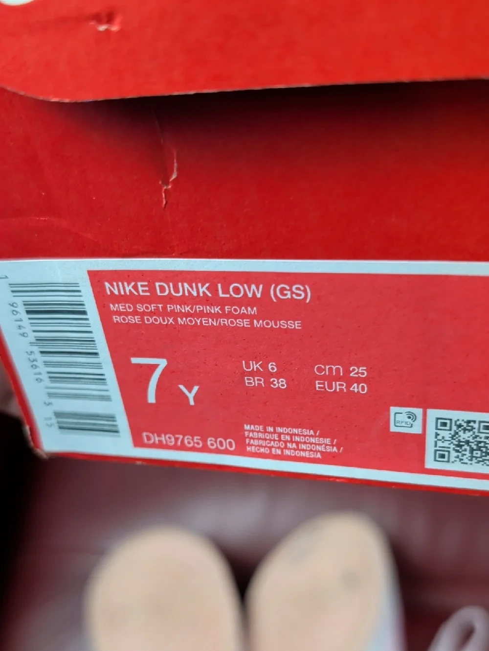 Nike Low Dunk Girl's Size 7 Y With Box